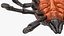 Tick manipulado para Maya