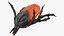 Tick manipulado para Maya