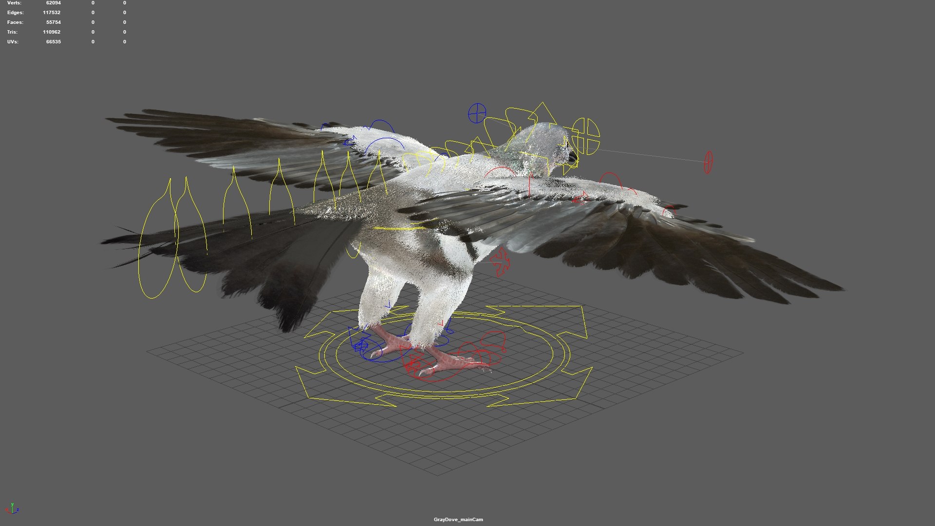 3D model bird anatomy crow https://p.turbosquid.com/ts-thumb/7Y/a16R6H/0Lbzklro/20/jpg/1584611728/1920x1080/fit_q87/5f19ca182ae5e0c26ff0313041f3204c42ff91e6/20.jpg