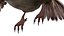 Bird Fur Collection