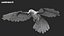 Bird Fur Collection