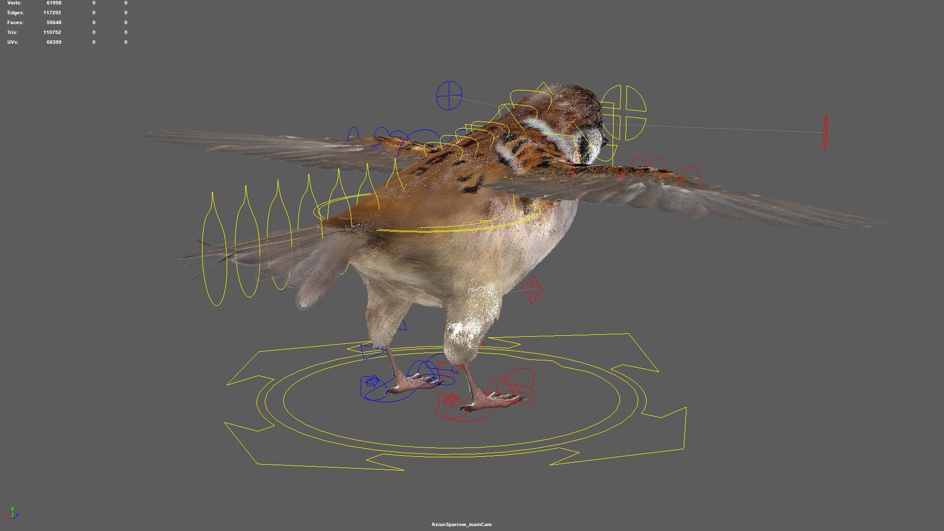 3D model bird anatomy crow https://p.turbosquid.com/ts-thumb/7Y/a16R6H/3oWoR5Zp/19/jpg/1584611505/1920x1080/fit_q87/acca704d7858de692b22602a815077a9ca5afe22/19.jpg