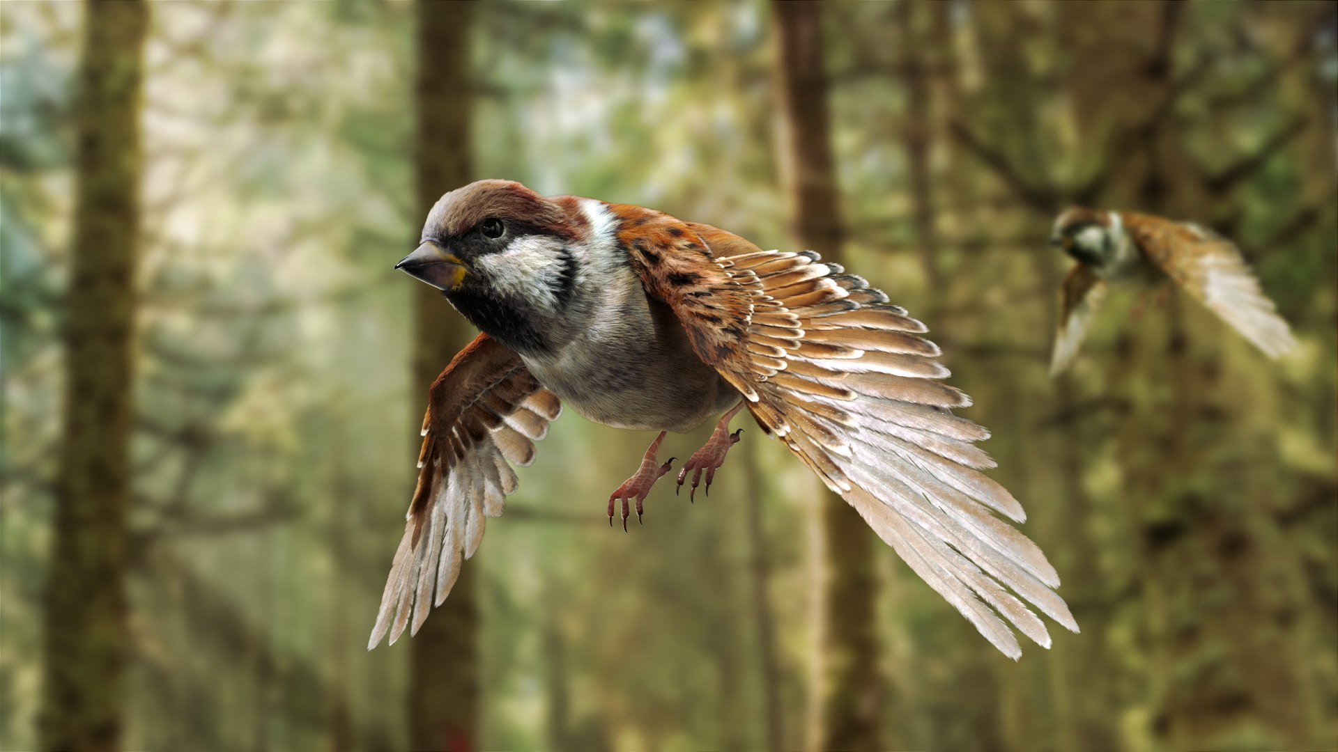 3D model bird anatomy crow https://p.turbosquid.com/ts-thumb/7Y/a16R6H/4kc3XJDh/02/jpg/1584611505/1920x1080/fit_q87/cc4b7602628f5fce40962f34f751388739ec8f1c/02.jpg