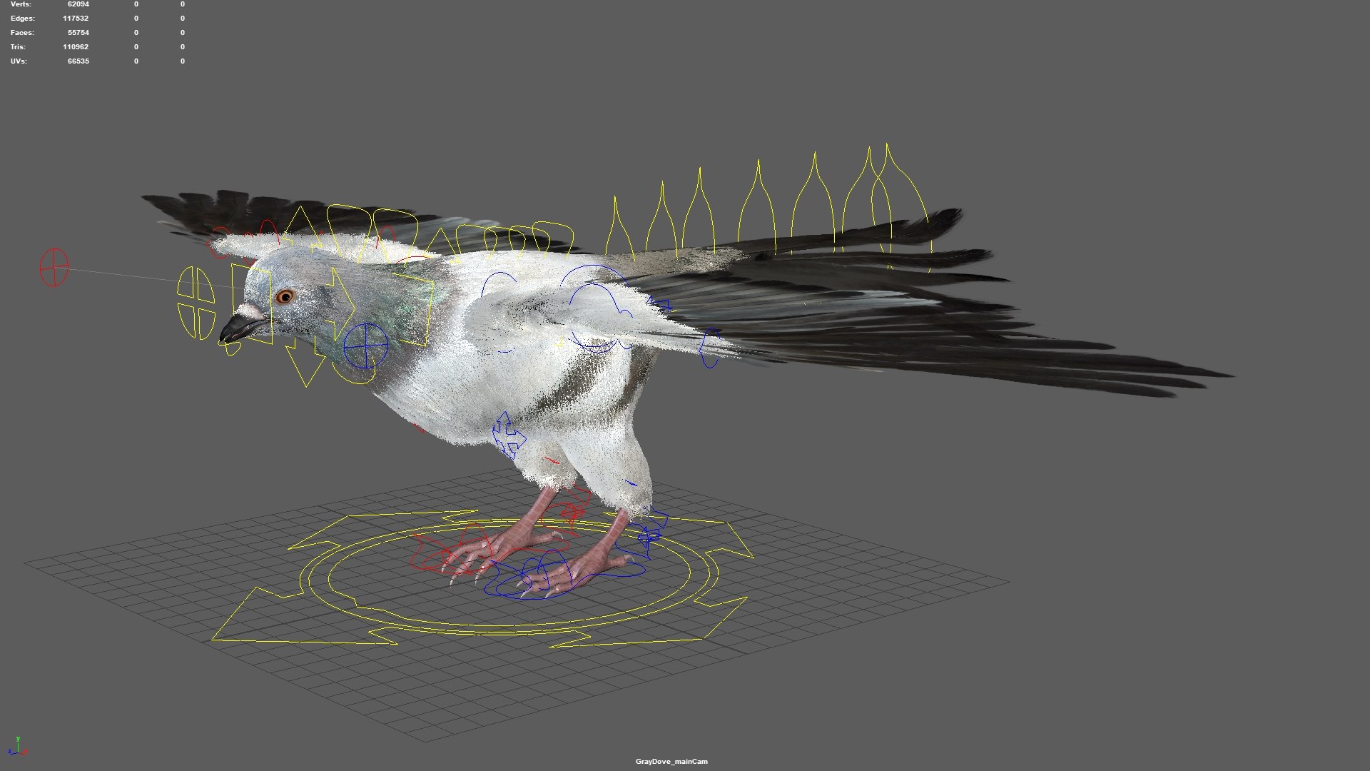 3D model bird anatomy crow https://p.turbosquid.com/ts-thumb/7Y/a16R6H/551tPS9T/19/jpg/1584611728/1920x1080/fit_q87/e41443538c86ced942a89cd52f8e3c8c496bdcbd/19.jpg