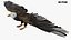 Bird Fur Collection