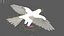Bird Fur Collection