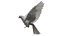 Bird Fur Collection