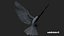 Bird Fur Collection