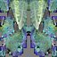 Bird Fur Collection