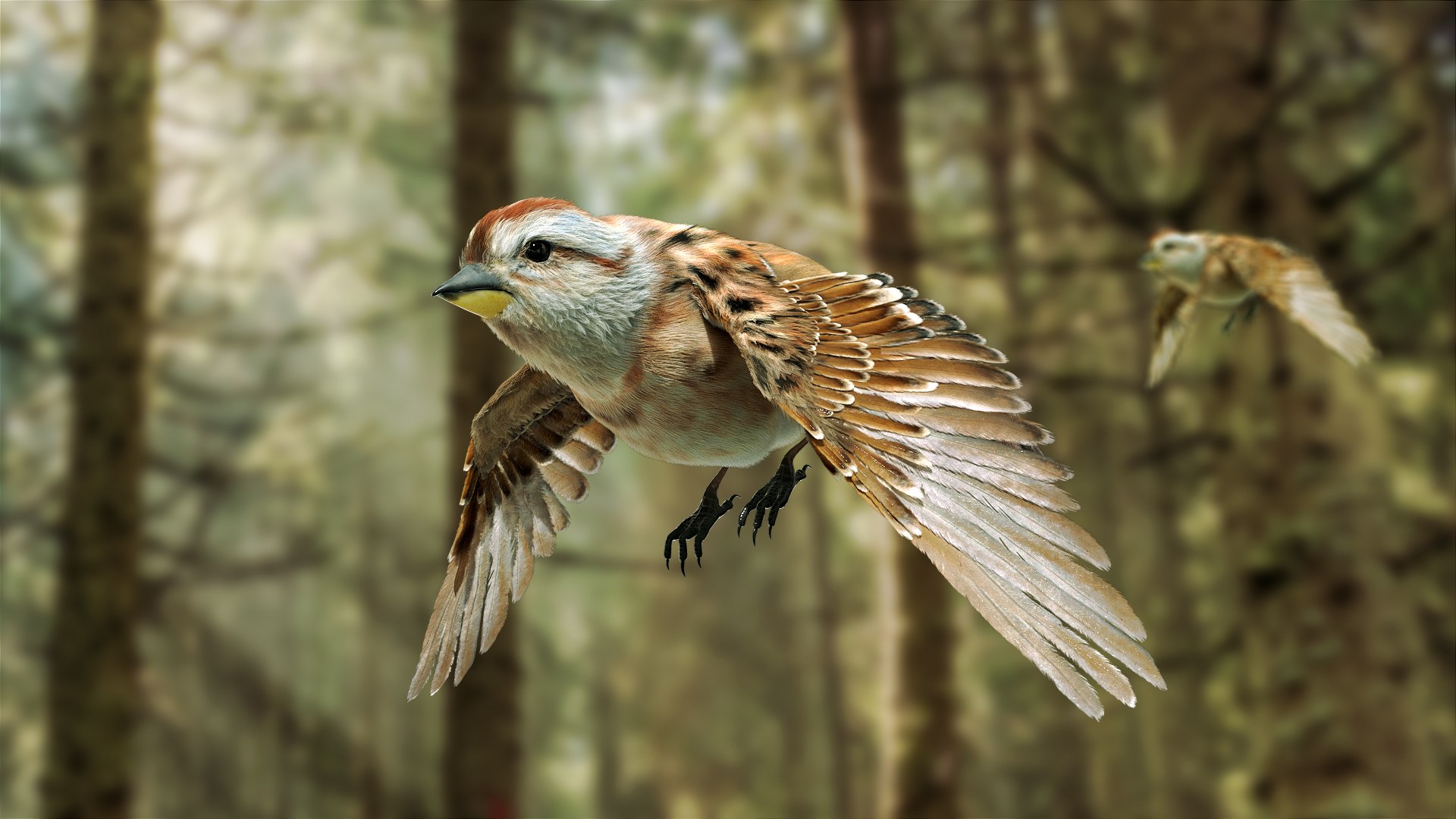 3D model bird anatomy crow https://p.turbosquid.com/ts-thumb/7Y/a16R6H/K7QbNWFt/02/jpg/1584611455/1920x1080/fit_q87/c7a146f8940fca923b2cbbc3ed59a7a6c284fa59/02.jpg