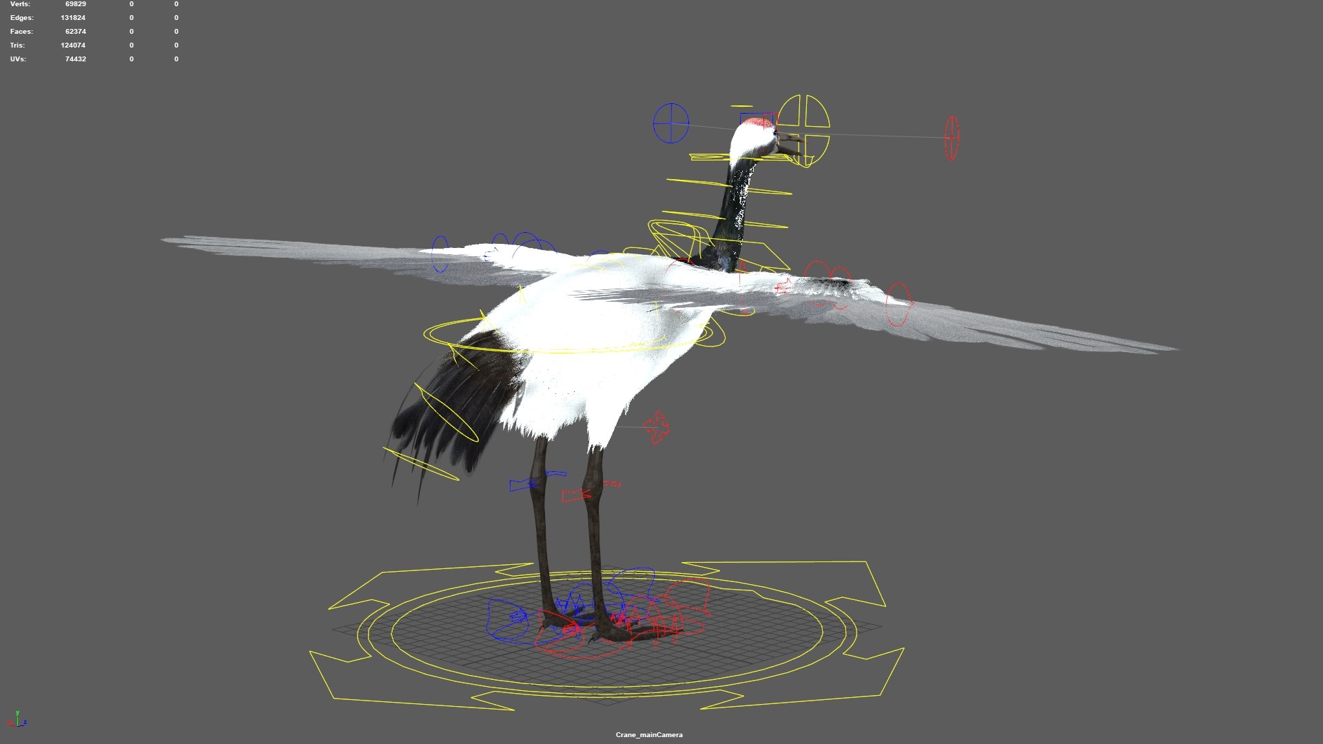3D model bird anatomy crow https://p.turbosquid.com/ts-thumb/7Y/a16R6H/MXjTl7Zo/22/jpg/1584611560/1920x1080/fit_q87/b8323bee12aaf2908a84f0534e4aa5c80fe71bb8/22.jpg