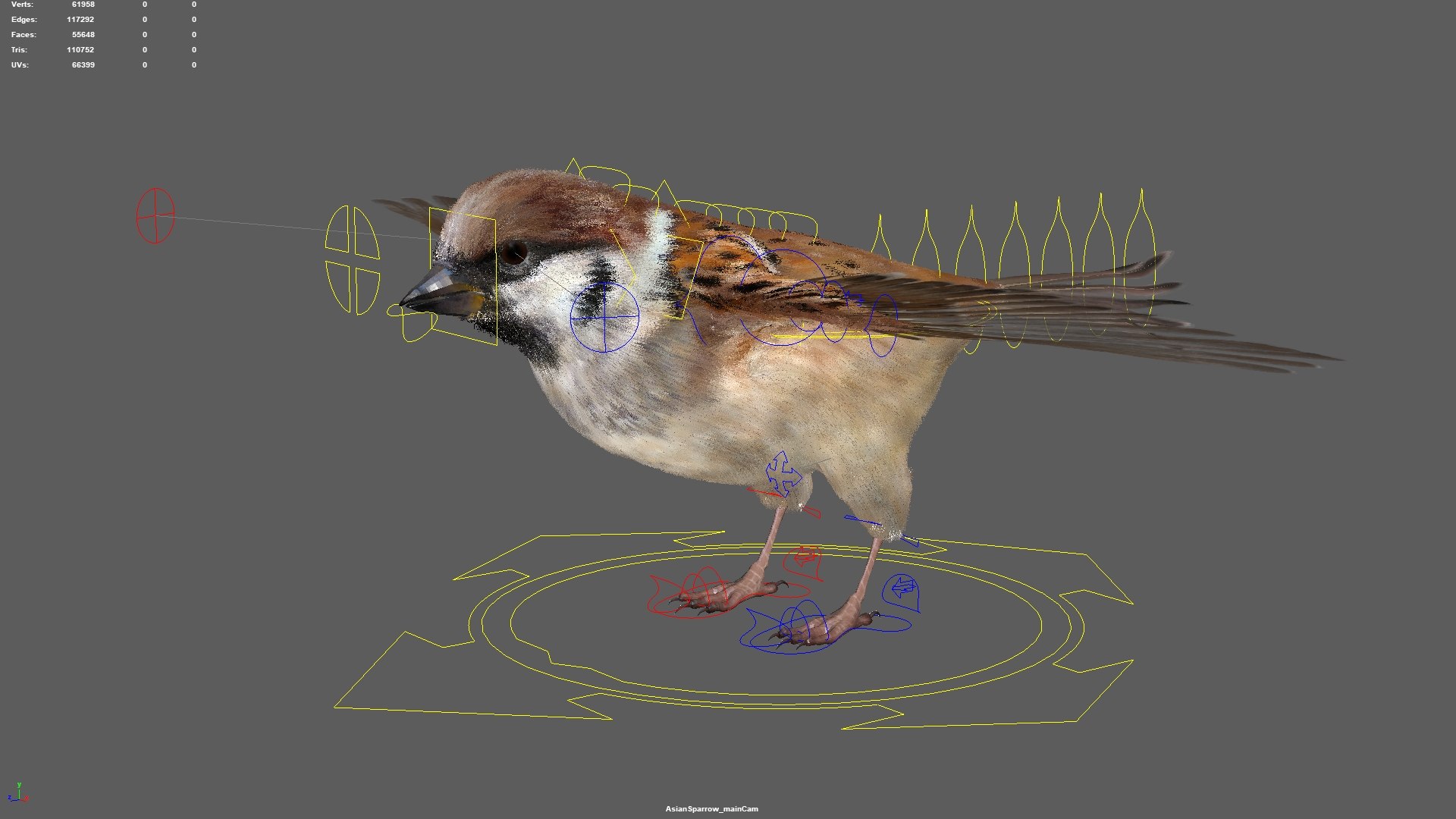 3D model bird anatomy crow https://p.turbosquid.com/ts-thumb/7Y/a16R6H/QacaYMy3/18/jpg/1584611505/1920x1080/fit_q87/71e2195edfea36667434e68a7123ba95e2858040/18.jpg