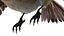 Bird Fur Collection