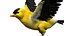 Bird Fur Collection