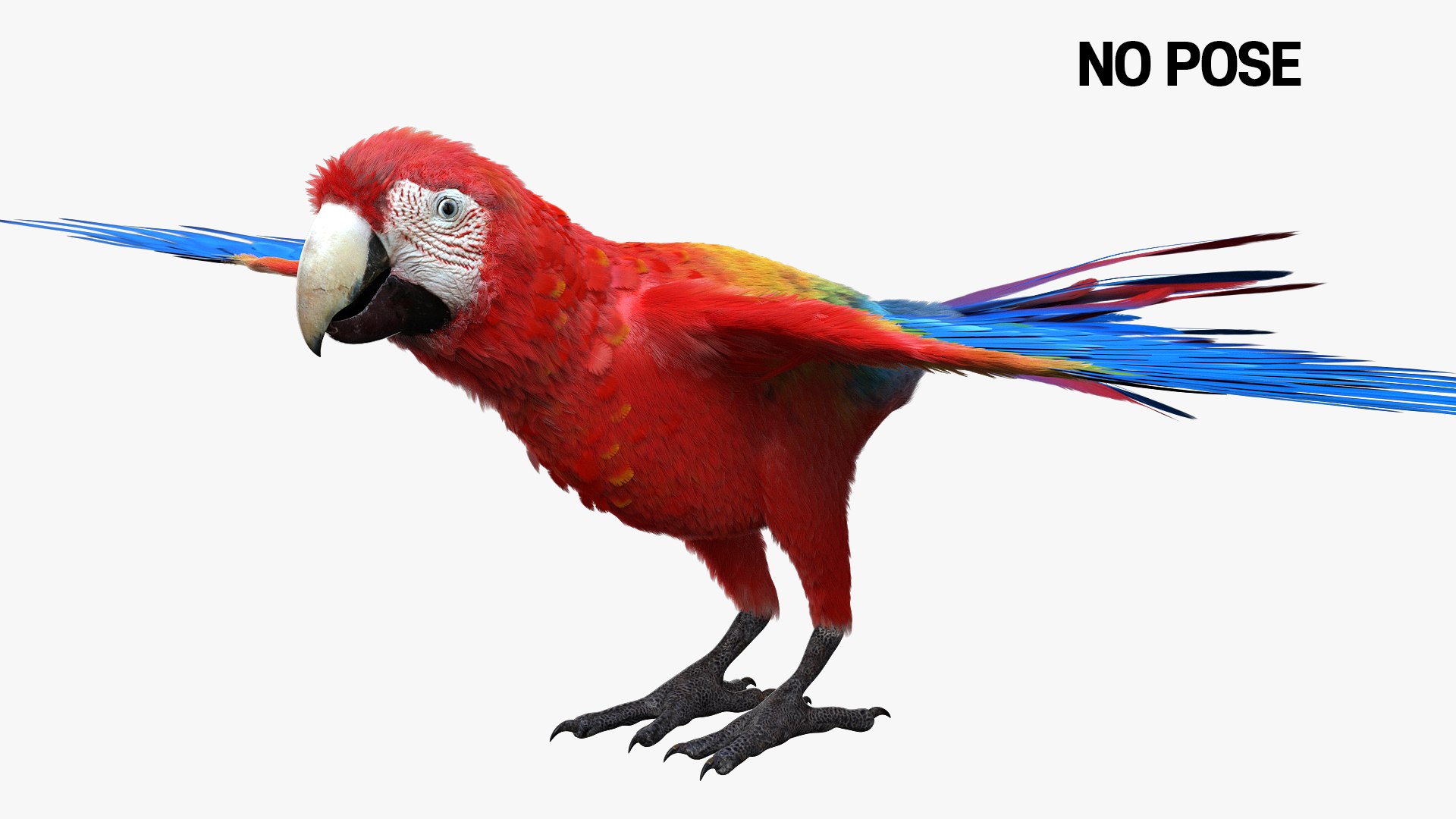 3D model bird anatomy crow https://p.turbosquid.com/ts-thumb/7Y/a16R6H/grDxFSRq/04/jpg/1584611997/1920x1080/fit_q87/e7a13e09ef4427c8b9da02cd519858d56ce983c3/04.jpg