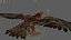 Bird Fur Collection