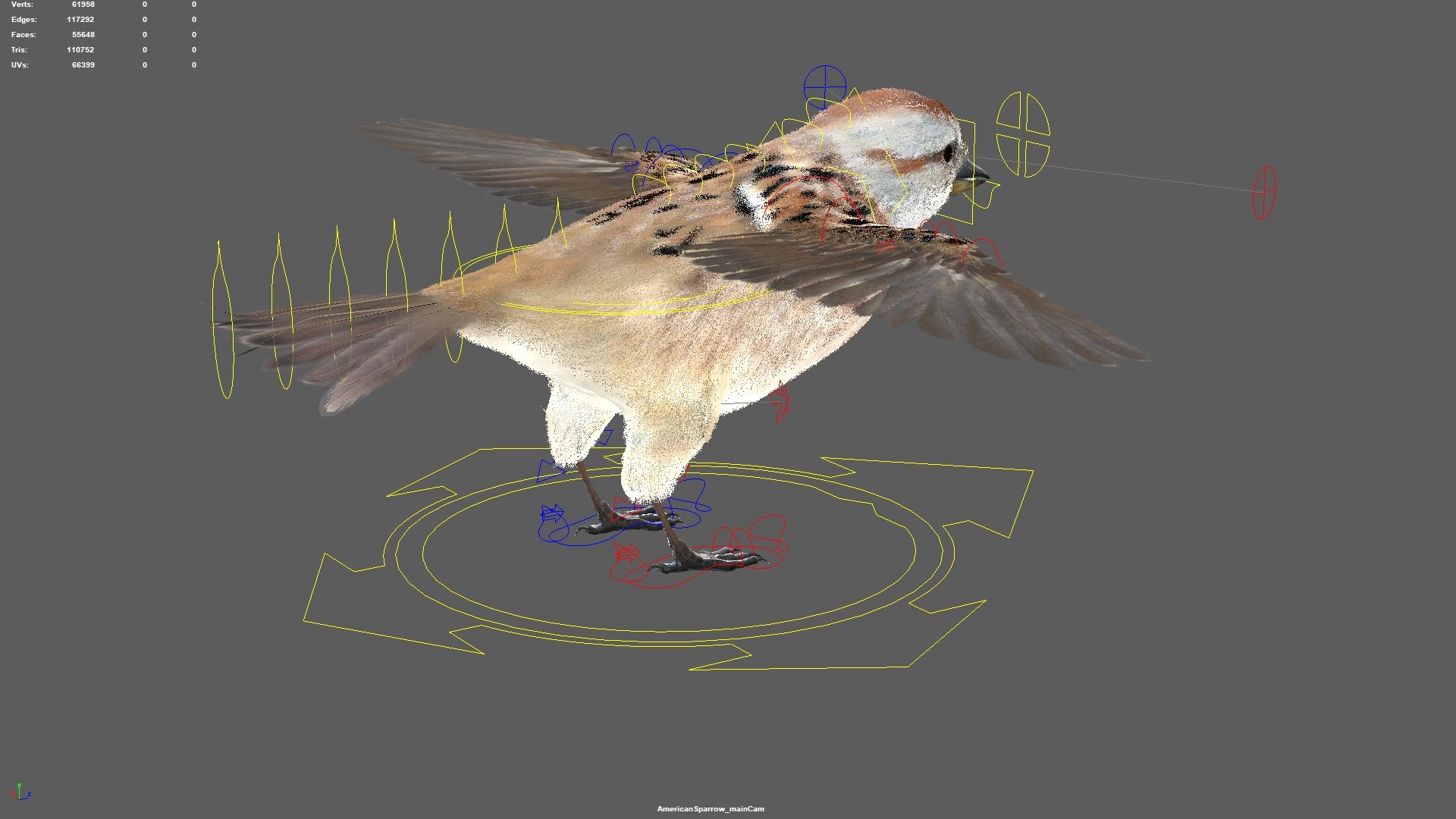 3D model bird anatomy crow https://p.turbosquid.com/ts-thumb/7Y/a16R6H/hwNmK1Ww/19/jpg/1584611455/1920x1080/fit_q87/9f2cc7a6576f479bb22bc4ae8eaaf24373a94257/19.jpg