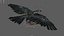 Bird Fur Collection