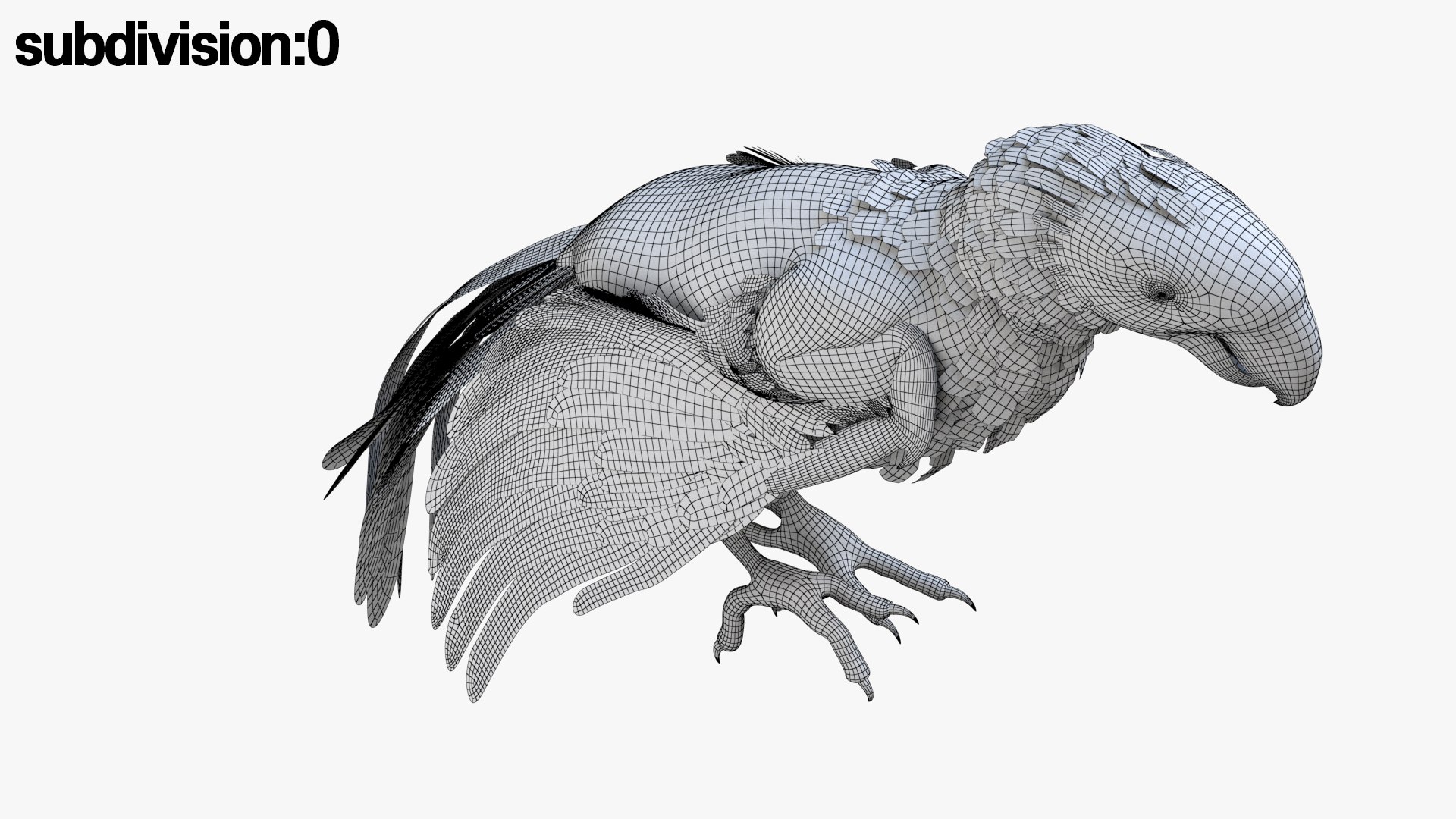 3D model bird anatomy crow https://p.turbosquid.com/ts-thumb/7Y/a16R6H/l5yrHMAL/52/jpg/1584611997/1920x1080/fit_q87/21d19e09dbe792d3e2bccc84ed8f01bc78900d34/52.jpg