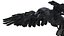 Bird Fur Collection