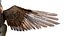 Bird Fur Collection