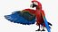 Bird Fur Collection