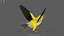 Bird Fur Collection
