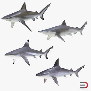 sharks 7 3d max