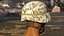 USMC Lightweight Helmet Desert Camo Cover