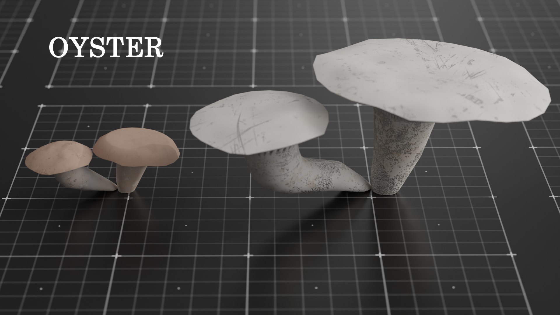 15 SPECIES Mushrooms - All In 2 Age Ranges 3D Model - TurboSquid 2181021