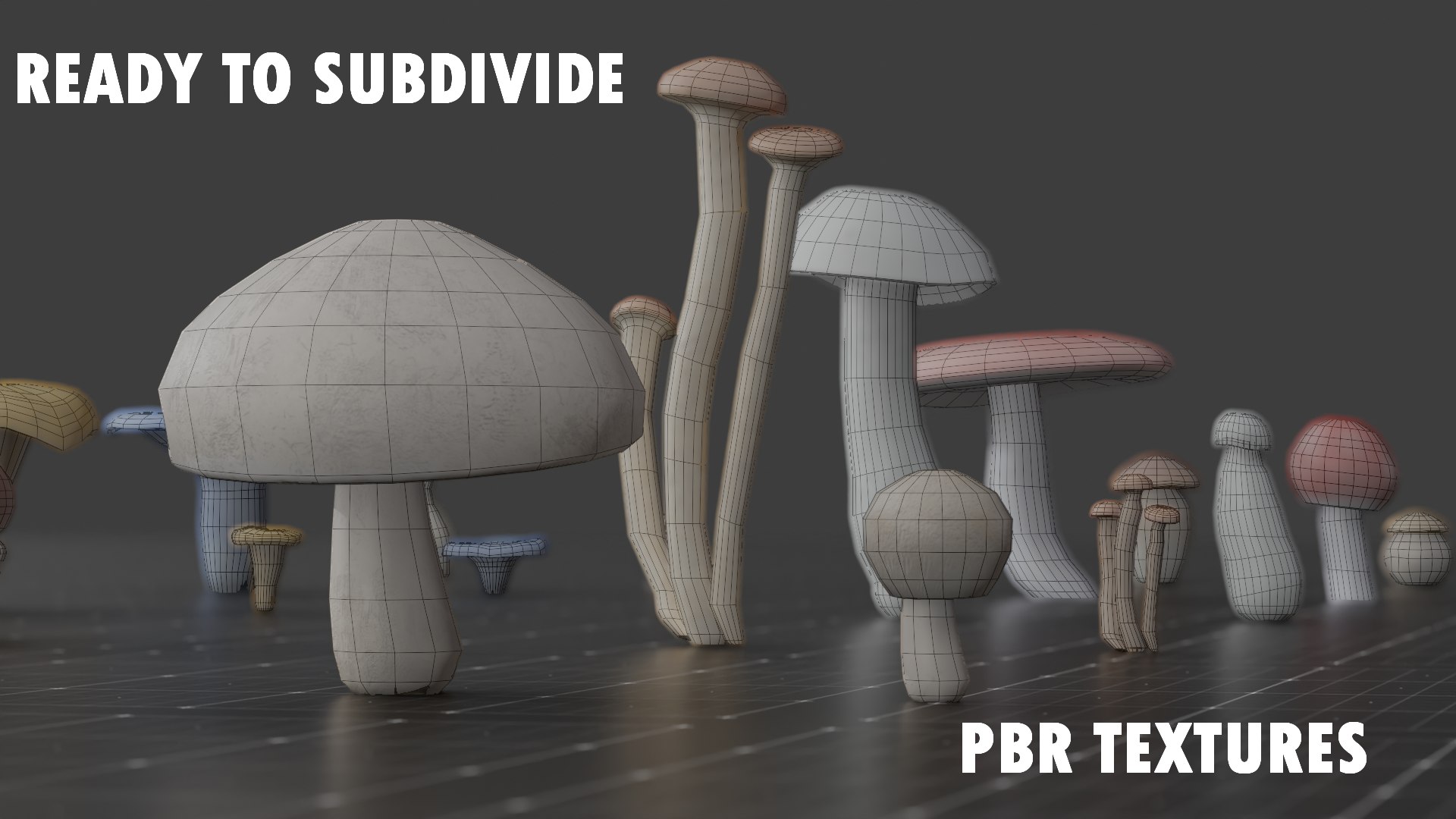 15 SPECIES Mushrooms - All In 2 Age Ranges 3D Model - TurboSquid 2181021