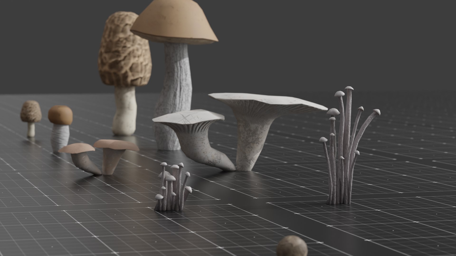 15 SPECIES Mushrooms - All In 2 Age Ranges 3D Model - TurboSquid 2181021