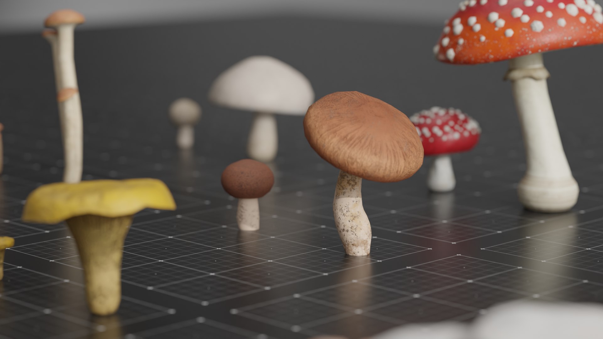 15 SPECIES Mushrooms - All In 2 Age Ranges 3D Model - TurboSquid 2181021