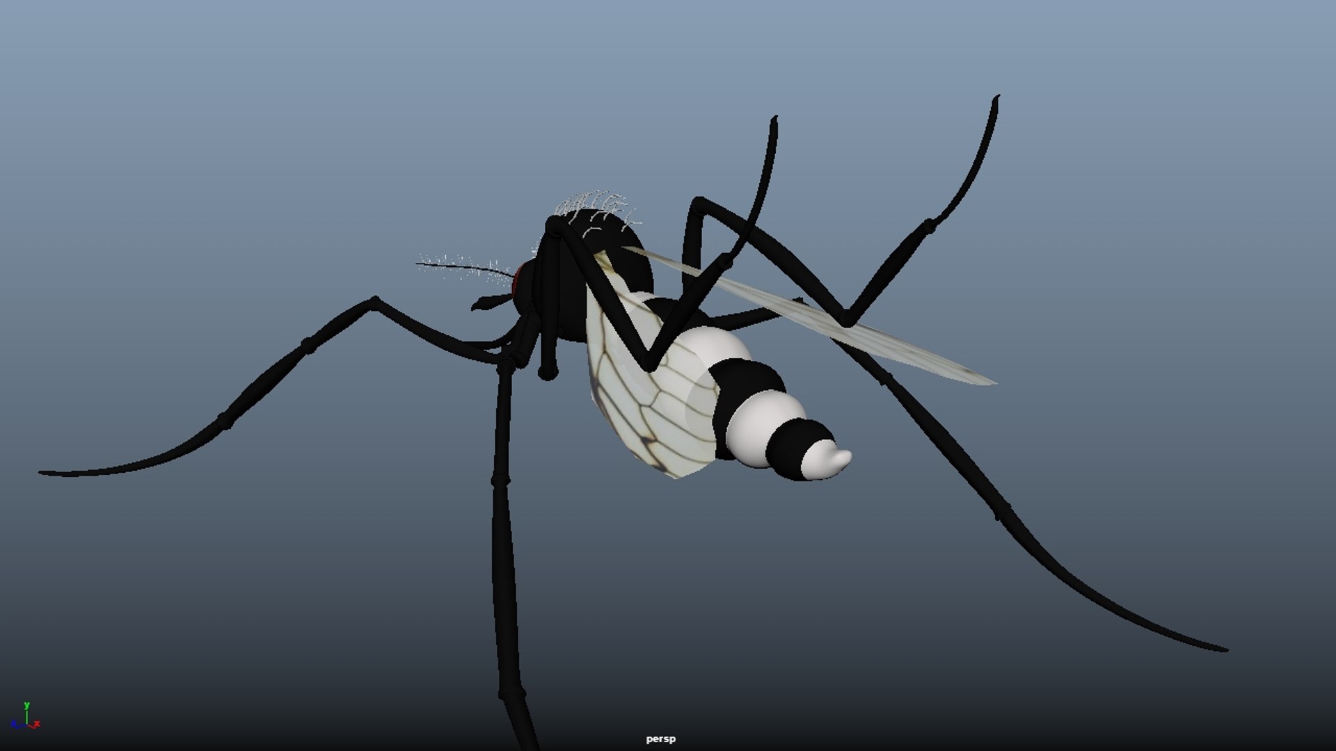 3D mosquito insect https://p.turbosquid.com/ts-thumb/7Z/6ggAUf/5DBbRzPy/mosquito_18/jpg/1594831579/1920x1080/fit_q87/b7cc0628debdfdba2f172e3efced8c976f439fbb/mosquito_18.jpg