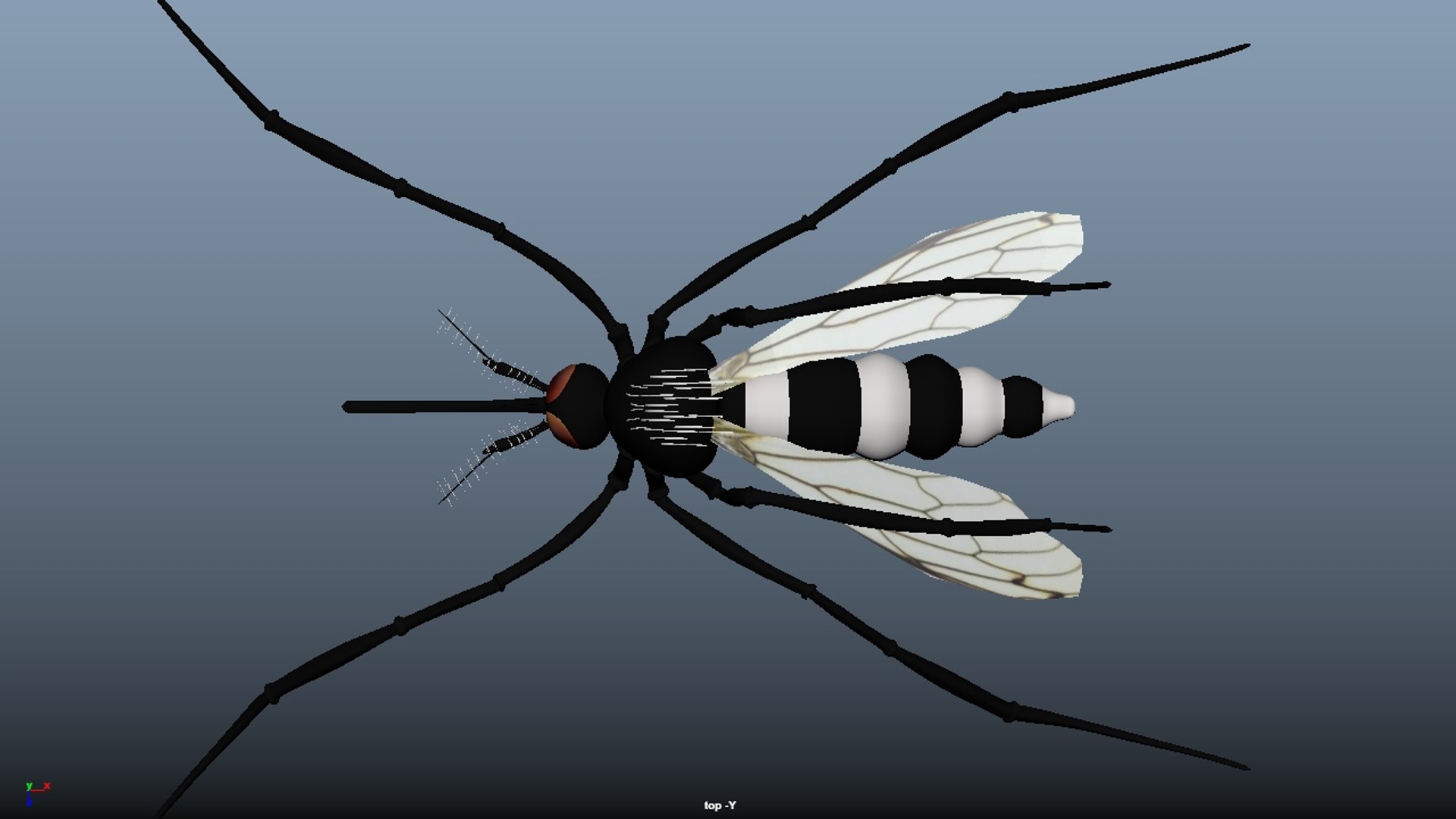 3D mosquito insect https://p.turbosquid.com/ts-thumb/7Z/6ggAUf/U2oKZ1KI/mosquito_22/jpg/1594831625/1920x1080/fit_q87/92e0e195c2d69db3d5f0216e12bee7fee49d1a61/mosquito_22.jpg
