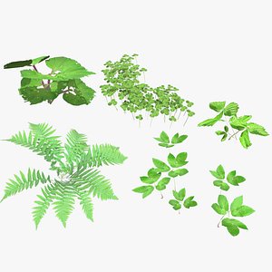3D fern plant model