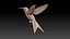 colibri humming bird