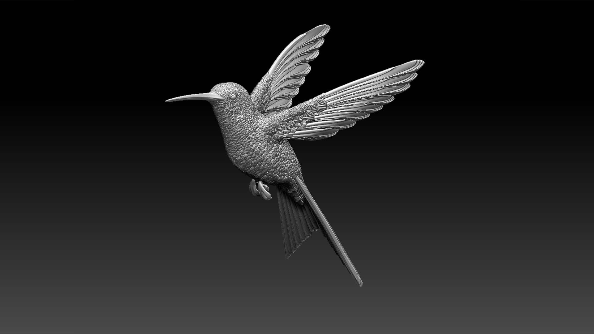 colibri humming bird model https://p.turbosquid.com/ts-thumb/7Z/LSJj3F/fr/980890/jpg/1629704144/1920x1080/fit_q87/4e8bb888b189303f15f56202283b3bd6df704a85/980890.jpg