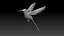 colibri humming bird