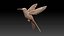 colibri humming bird