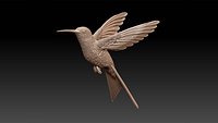 colibri humming bird