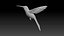 colibri humming bird