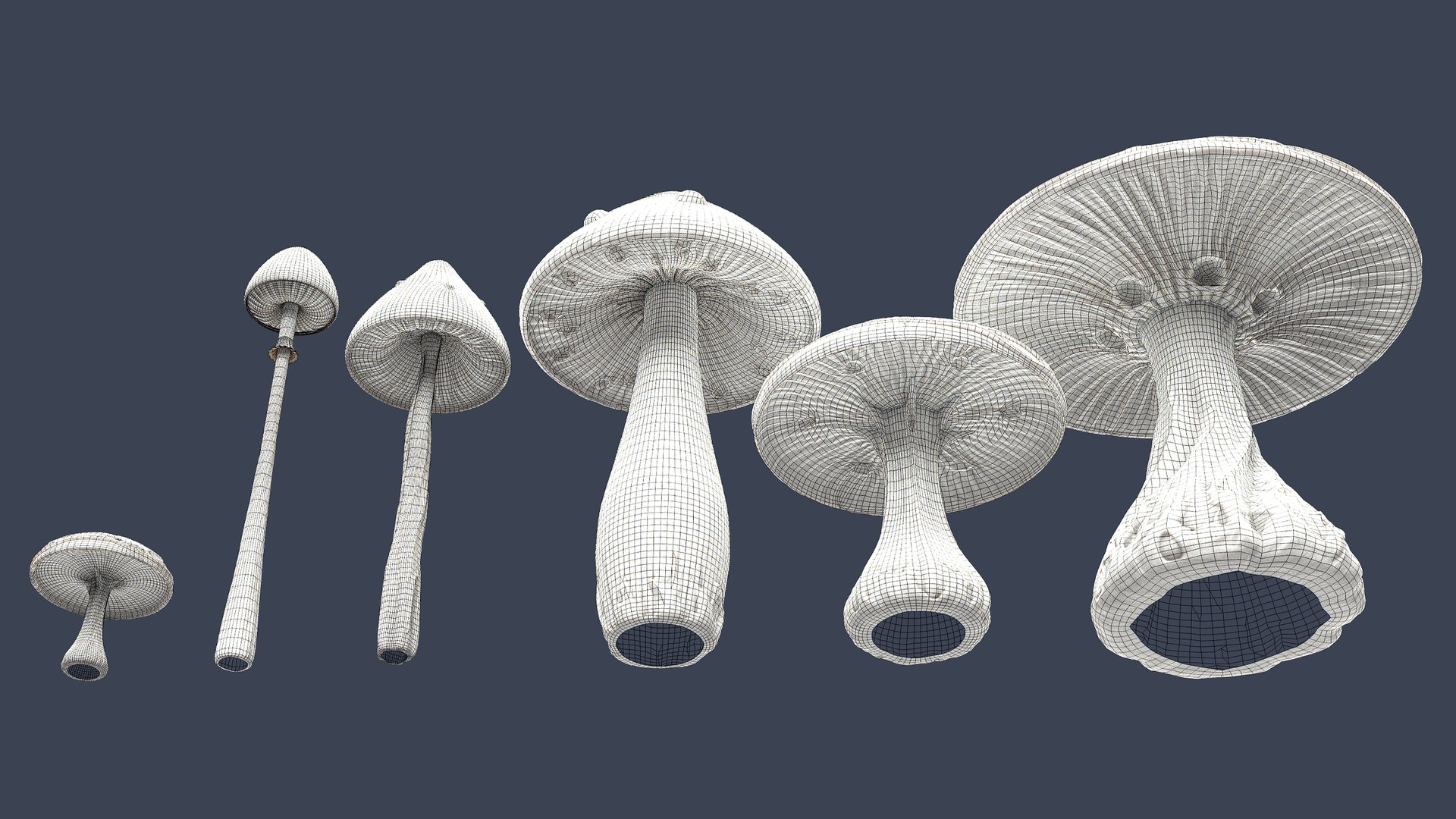 3D Stylized Mushrooms Model - TurboSquid 2426504