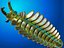 Anomalocaris