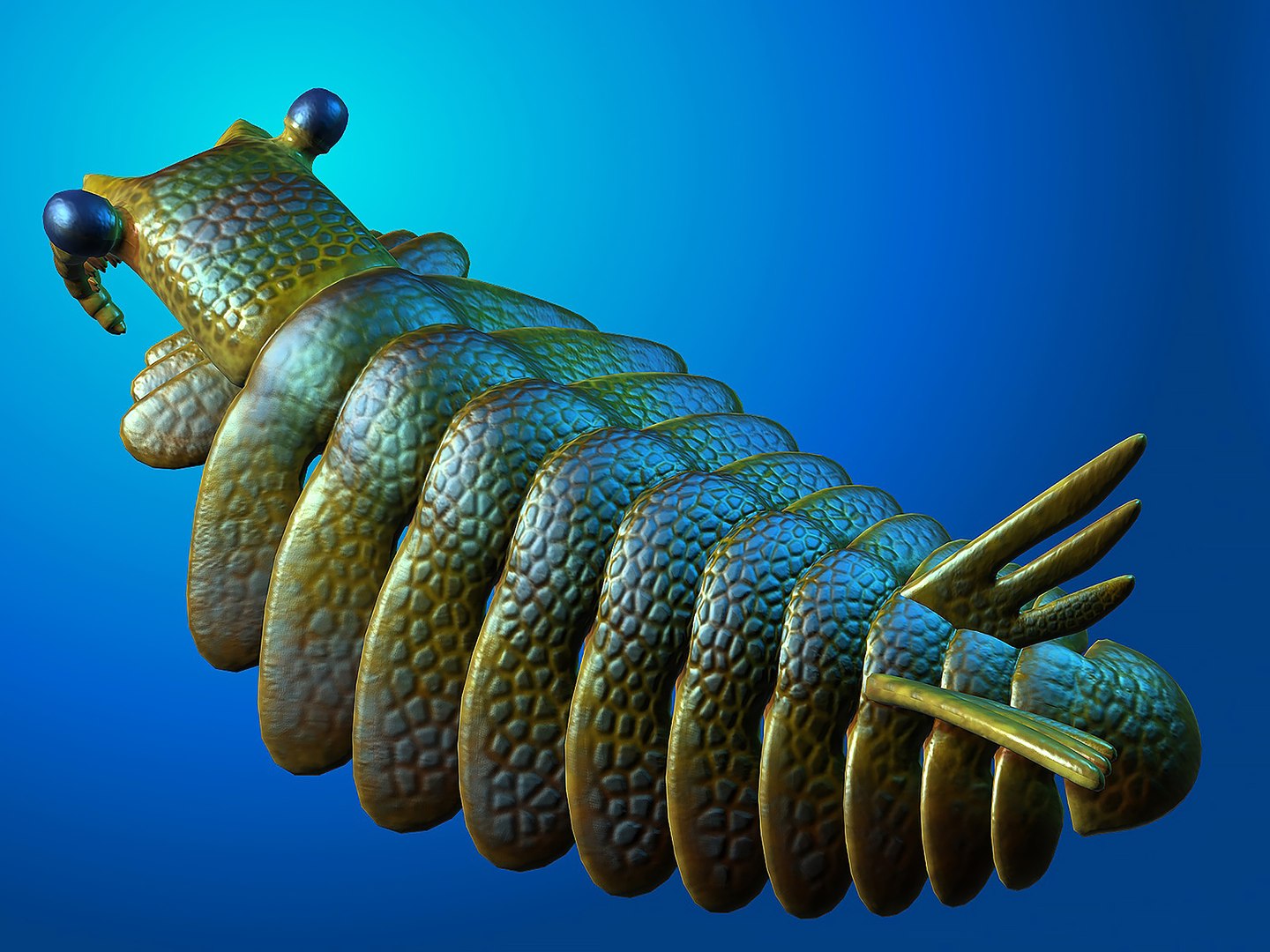 Max Anomalocaris Extinct Arthropods