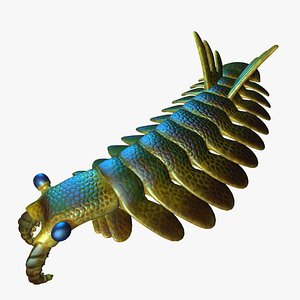 max anomalocaris extinct arthropods