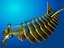 Anomalocaris
