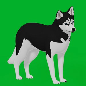 Husky Stylized Dog