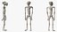 Alien Mummy