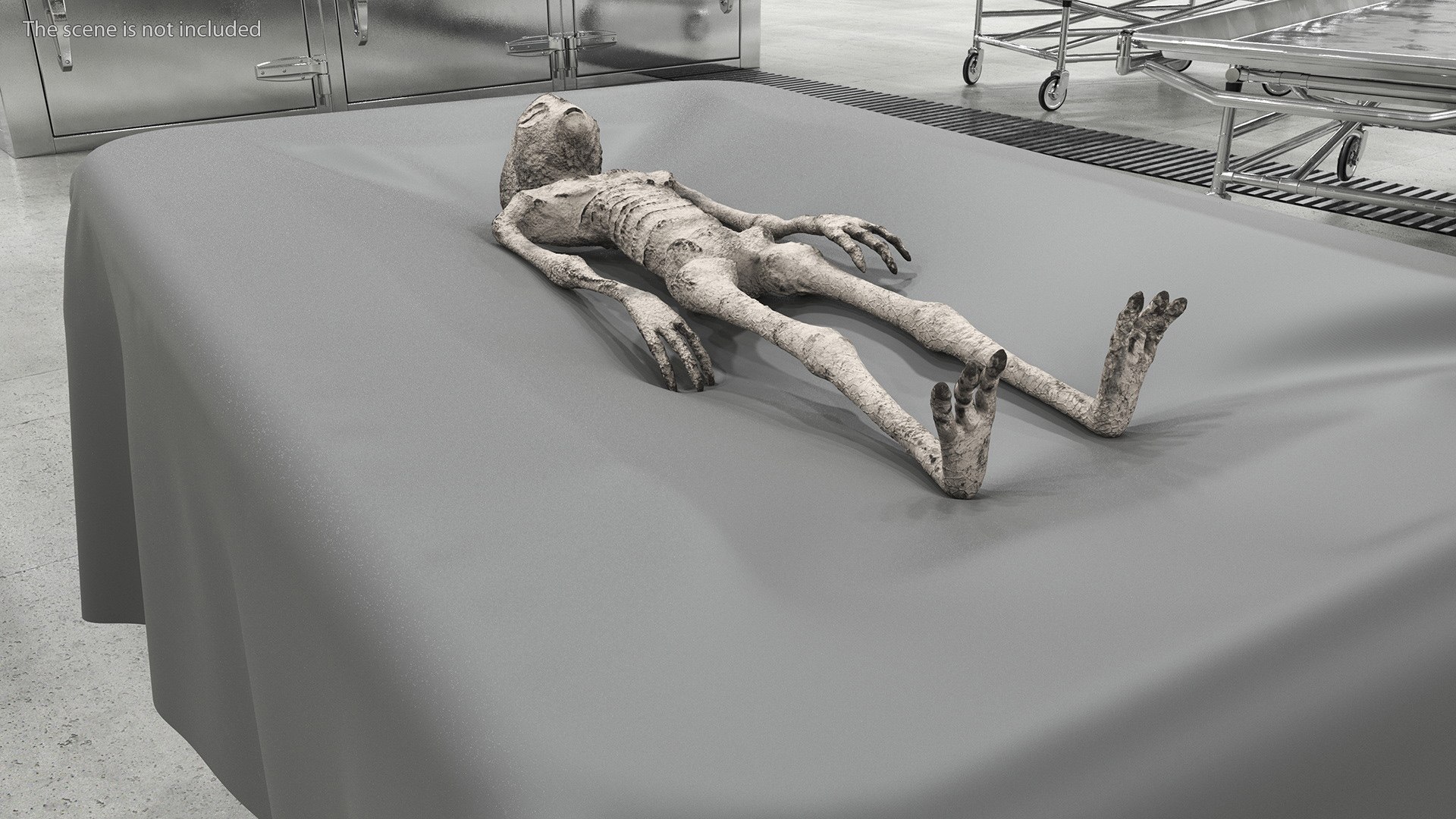3D Alien Mummy model https://p.turbosquid.com/ts-thumb/7Z/jbTy8B/F5/alienmummyc4dmodel005/jpg/1701026458/1920x1080/fit_q87/64c952a64f345b5076e75ccf3287c45d8004cefa/alienmummyc4dmodel005.jpg